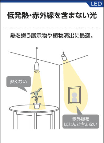 コイズミ照明 KOIZUMI LEDスポットライト（プラグ） ASE640549