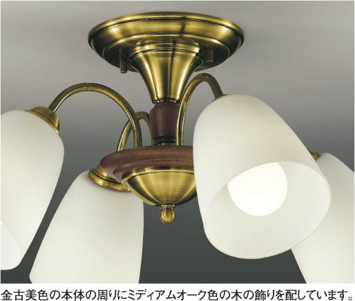 KOIZUMI 蛍光直付シャンデリア AAN585060 | 商品情報 | LED照明器具の