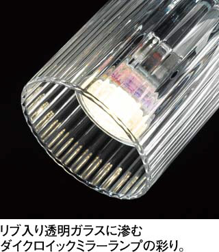 ODELIC オーデリック スポットライト OS256070 | 商品情報 | LED