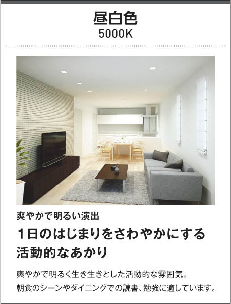 KOIZUMI コイズミ照明 防雨防湿型非常灯 AR50453 | 商品情報 | LED照明