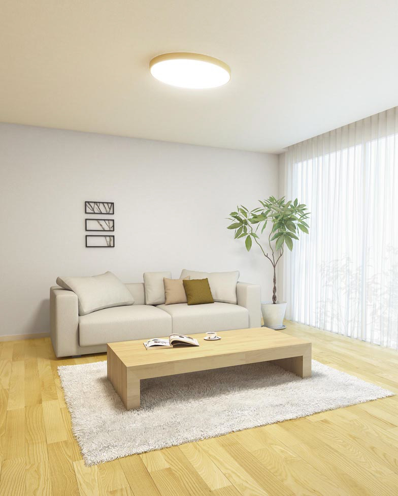 ODELIC オーデリック シーリングライト OL291419BC | 商品情報 | LED照明器具の激安・格安通販・見積もり販売 照明倉庫  -LIGHTING DEPOT-