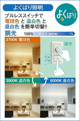 大光電機 ダウンライト 2色温度切替調光タイプ 物珍し 大光電機 ダウンライト 2色温度切替調光タイプ 物珍し