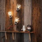 BABY PLUMEN 001 ٥ӡ ץ롼 001