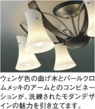 ߾ KOIZUMI ڥ LED AP40485L ħ̿