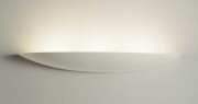 ƣ ENDO LED ֥饱å XRB1010W