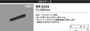 Koizumi ߾ 祤ʡS WE0243