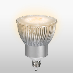 饤ƥ USHIOLIGHTING LED  LDR5L-M-E11/D/30/5/18-H2 ᥤ̿