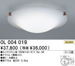  ODELIC ǥå OL004019