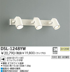DSL-1248YW