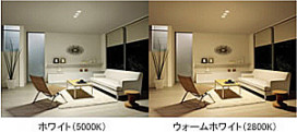 DAIKO LED饤ȡ鿧Ǯ60Wסŷѡ100DDL-3407WWDDL-3407YWߥȡ롦ʥޥåȡĴǽ5100ˡĴDP-36768ˡ۸бϰ30ޤ