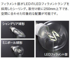 ޥå쥤MaxrayLEDեȥסڥȡ󥰡ML30096-35-91