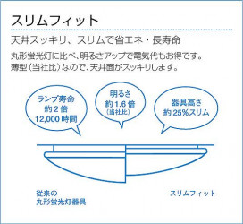 DAIKO DCL-36168L