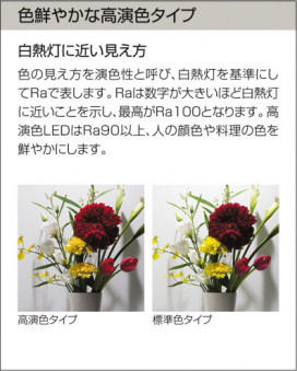DAIKO ŵ LEDݥåȥ饤 DECOLEDS(LED) DSL-3368YW 