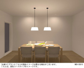 Panasonic ڥ HGD1004BE ̿2