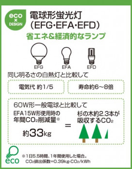 ODELIC ǥå OL013223L OL013223L 󥰥饤 ָ ŵָEFA 饷å쥬|ʥ롦ȥ꡼ ץ饤١||ư 󥰥饤  ָ