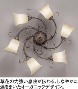 ODELIC ǥå OC006868L OC006868L ǥꥢ ָ ŵָEFA 饷å쥬|ʥ롦ȥ꡼ ѥ֥å ǥꥢ  1214|ǥꥢ  ָ