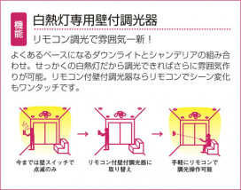 DAIKO  ŵ ǮĴ DP-36766E