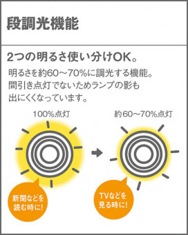 PANASONIC ѥʥ˥åŹ ڥ HSFD5019EP  panasonic hsfd5019ep