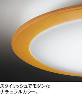 ODELIC ǥå LED OL251071