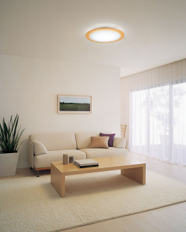 ODELIC ǥå LED OL251071