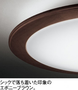ODELIC ǥå LED OL251074