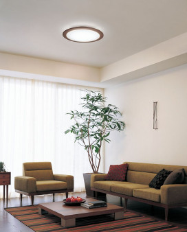 ODELIC ǥå LED OL251074
