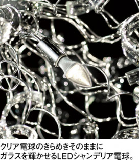 ODELIC LED ǥꥢ OC257006