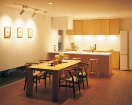 ODELIC LED 饤 OD262004