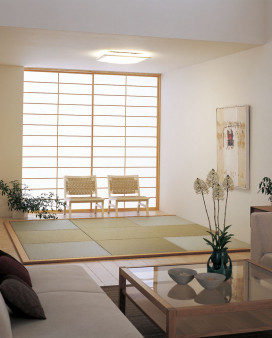 ODELIC  OL211900L