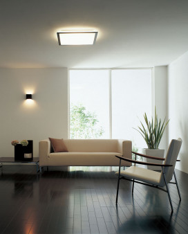 ODELIC  OL211900L