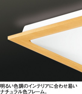 ODELIC  OL211906L