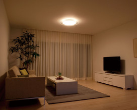 ODELIC LED  OL251051