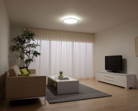 ODELIC LED  OL251052