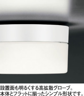 ODELIC LED Х饤 OW269001N