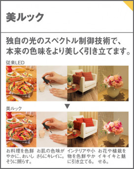 Panasonic LED֥饱å LGB81617LE1 ̿3