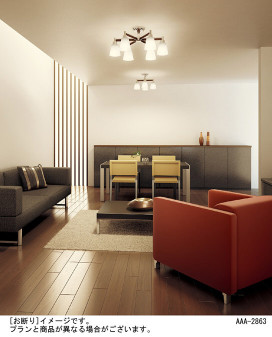 Panasonic ǥꥢ HEM4039CE ̿1