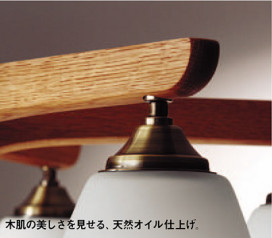 Panasonic ǥꥢ LB57643 ̿3