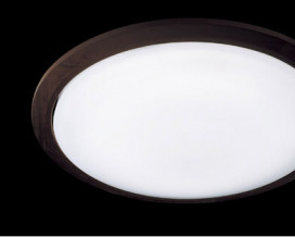 Panasonic LED  LGBZ1166C ̿2