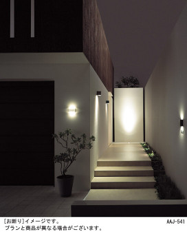 Panasonic LED ȥɥ LGW46119KLE1 ̿3