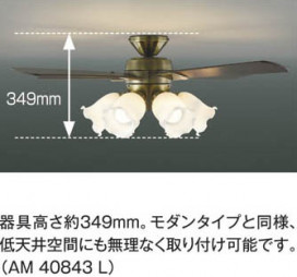 ߾ KOIZUMI ƥꥢե AM40843L ħ̿