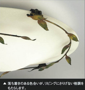 ߾ KOIZUMI ֥饱å ABN646072 ħ̿