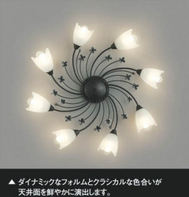 ߾ KOIZUMI ॷǥꥢ AAN685107 ħ̿