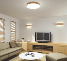 ߾ KOIZUMI LED AH36079L ܹ̿