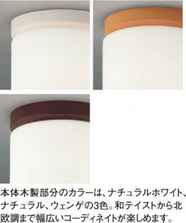 KOIZUMI AHE670135 ̿1