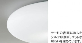 KOIZUMI AHN636473 ̿2