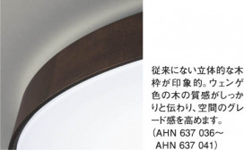 KOIZUMI AHN637036 ̿1
