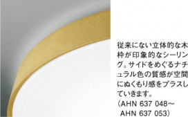 KOIZUMI AHN637053 ̿1