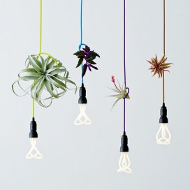 BABY PLUMEN 001 ٥ӡ ץ롼 001