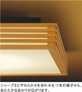 KOIZUMIAHN635354 ̿1