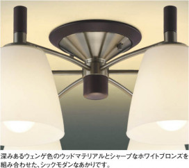 KOIZUMI AAN685073 ̿1